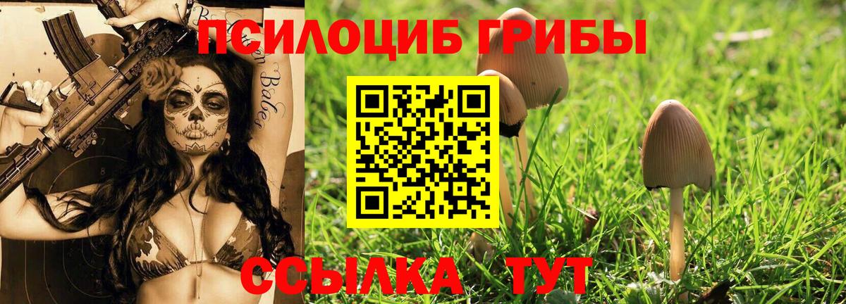 Галлюциногенные грибы ЛСД  Вход с VPN  Галлюциногенные грибы мухоморы  Арзамас 
